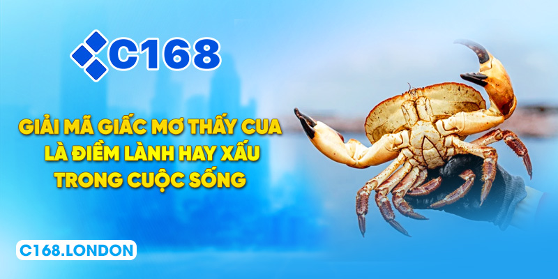 Giải mã giấc mơ thấy cua là điềm lành hay xấu trong cuộc sống