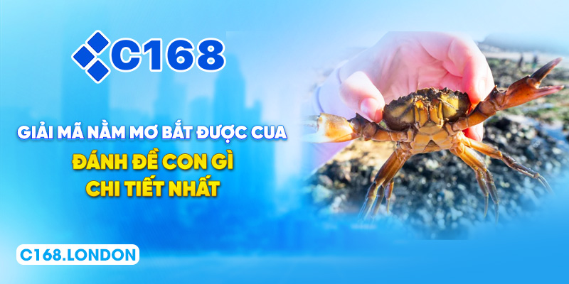 Giải Mã Nằm Mơ Bắt Được Cua Đánh Đề Con Gì Chi Tiết Nhất