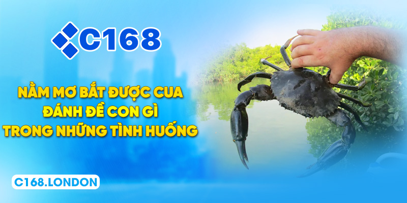 Nằm mơ bắt được cua đánh đề con gì trong những tình huống